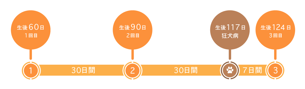 混合ワクチン接種